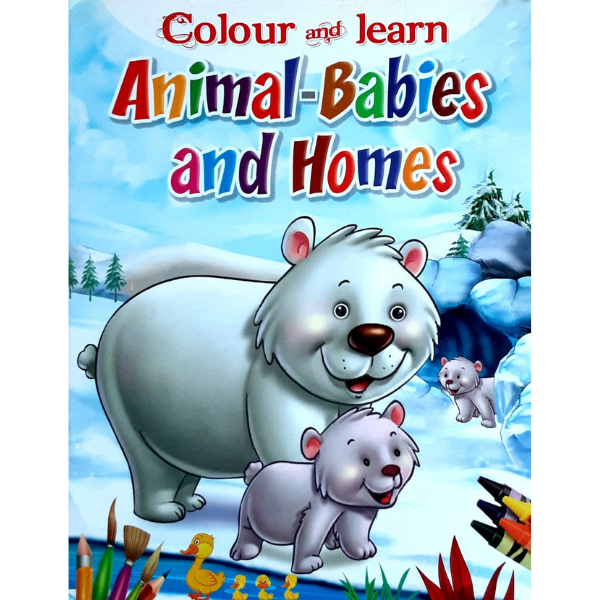 Colour and Learn-Animal Banies and Homes