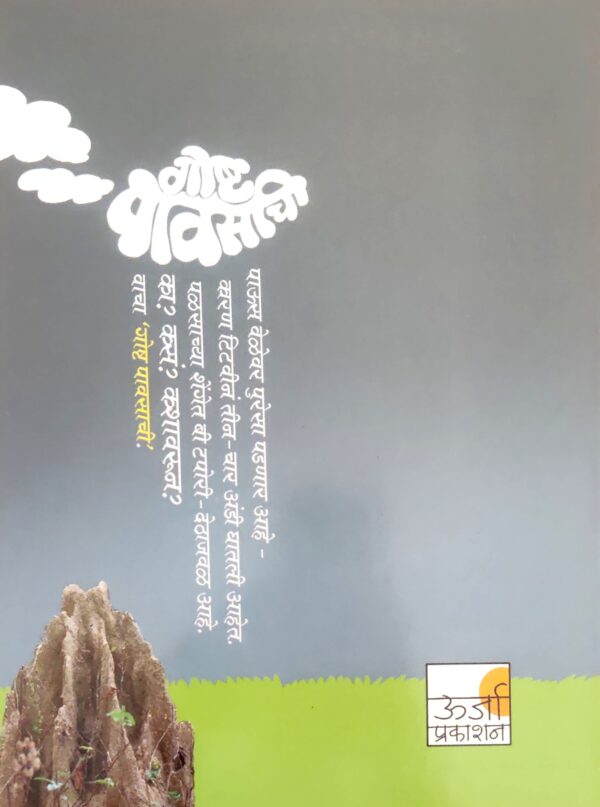 गोष्ट पावसाची - Image 3