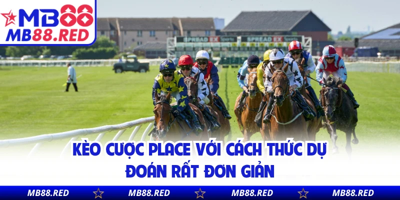 Kèo cược Place với cách thức dự đoán rất đơn giản