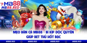 Mẹo Bắn Cá MB88 - Bí Kíp Độc Quyền Giúp Bet Thủ Hốt Bạc