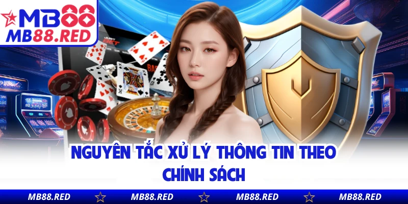 Nguyên tắc xử lý thông tin theo chính sách